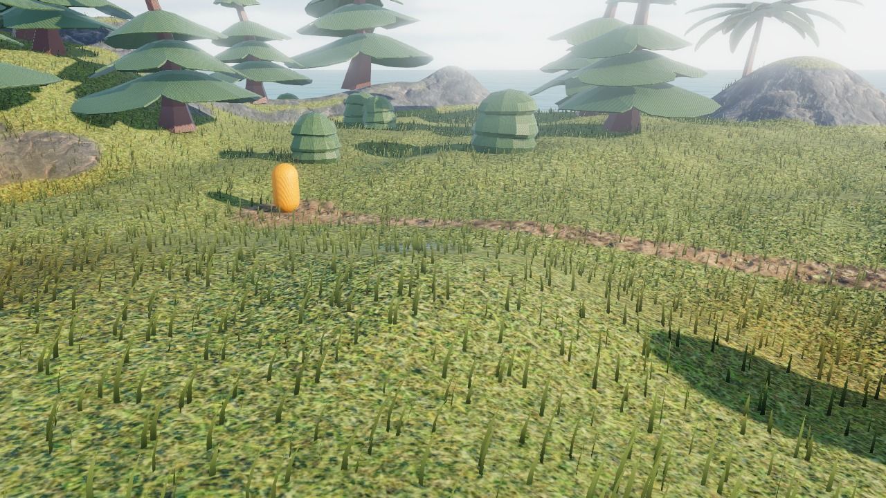 Blades of grass on a meadow of the island, with a path where no grass grows
